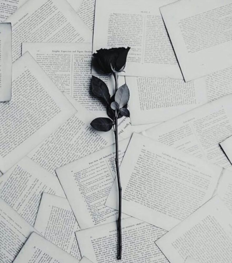 باغی کز آن گل کاغذین روید