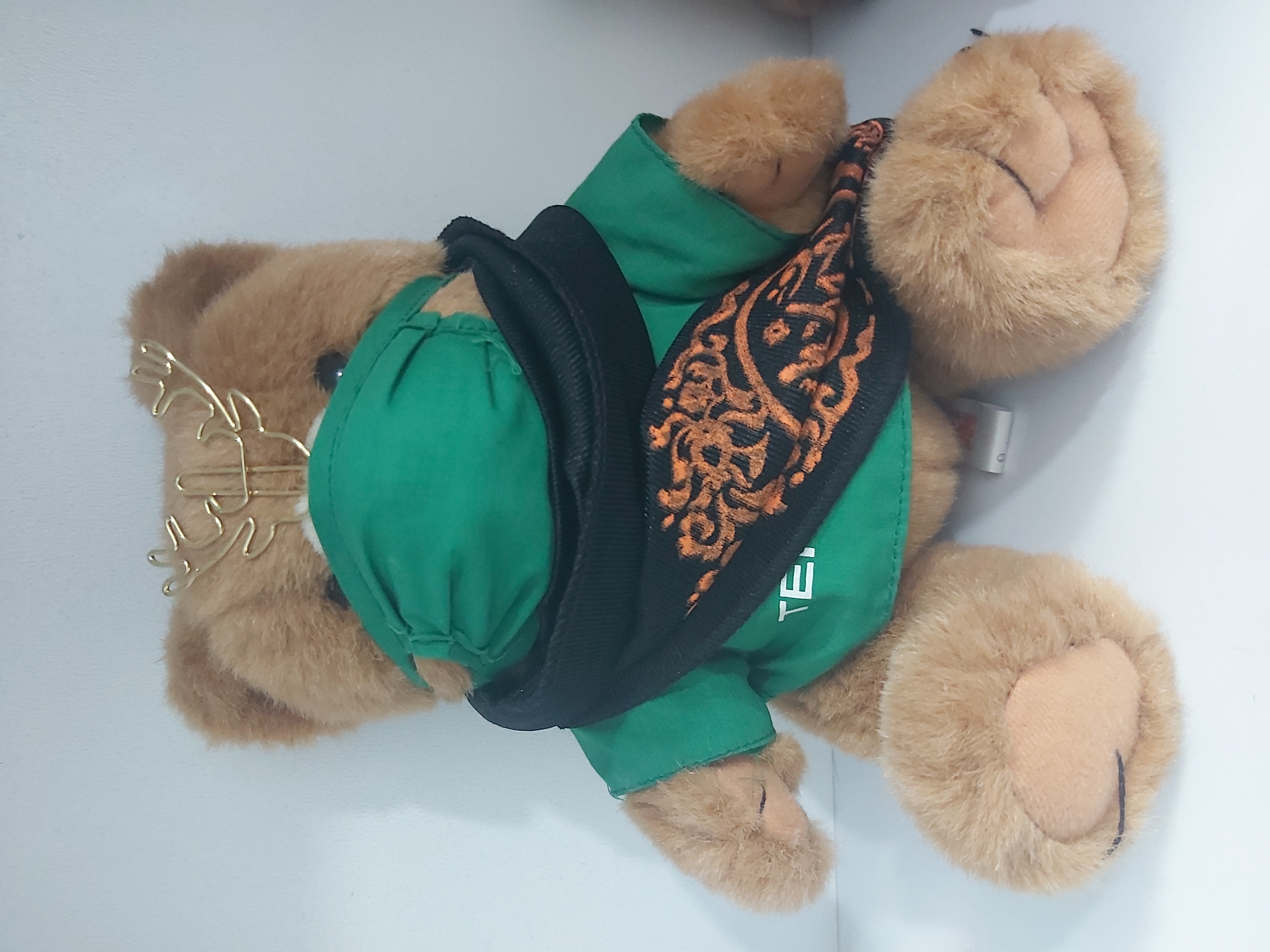 اون گوزن نشان‌گر کتابه برای القای حس پادشاهی گذاشتم روی سرش، شال و عروسک برام فرستاده شده:)