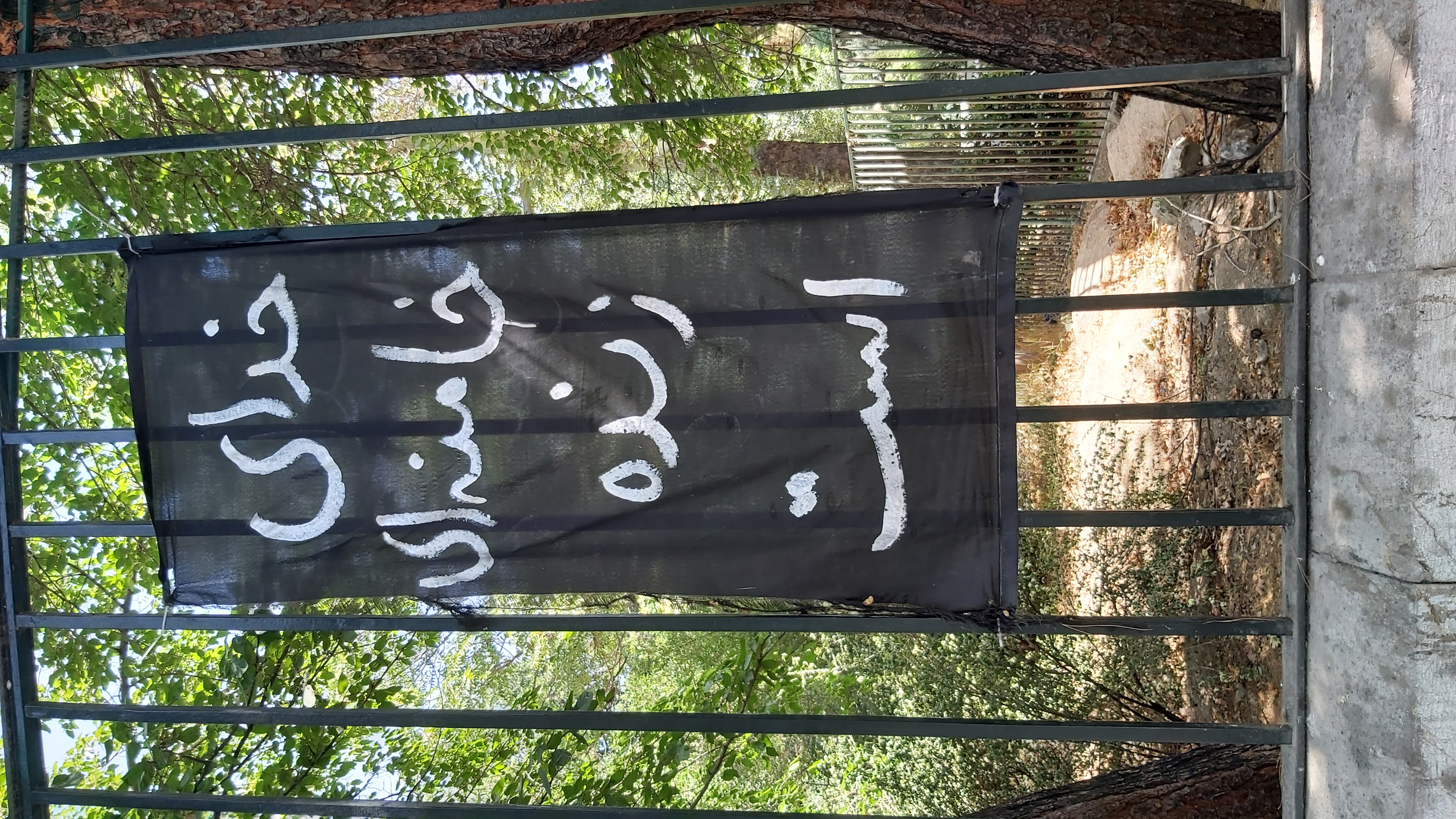 دست نویس و زیبا