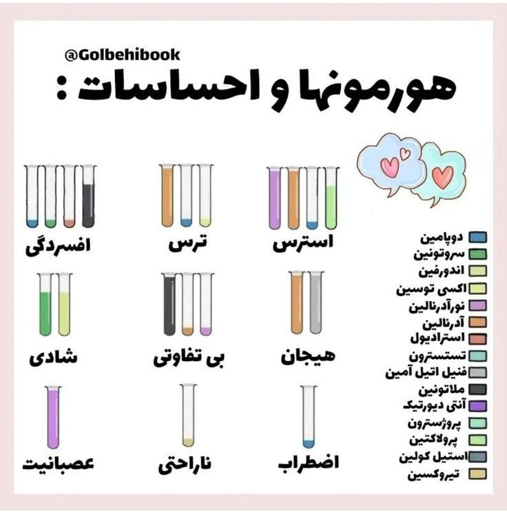 همشو تجربه میکنم مرتب!