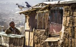 شهرنشین های غیرشهری!