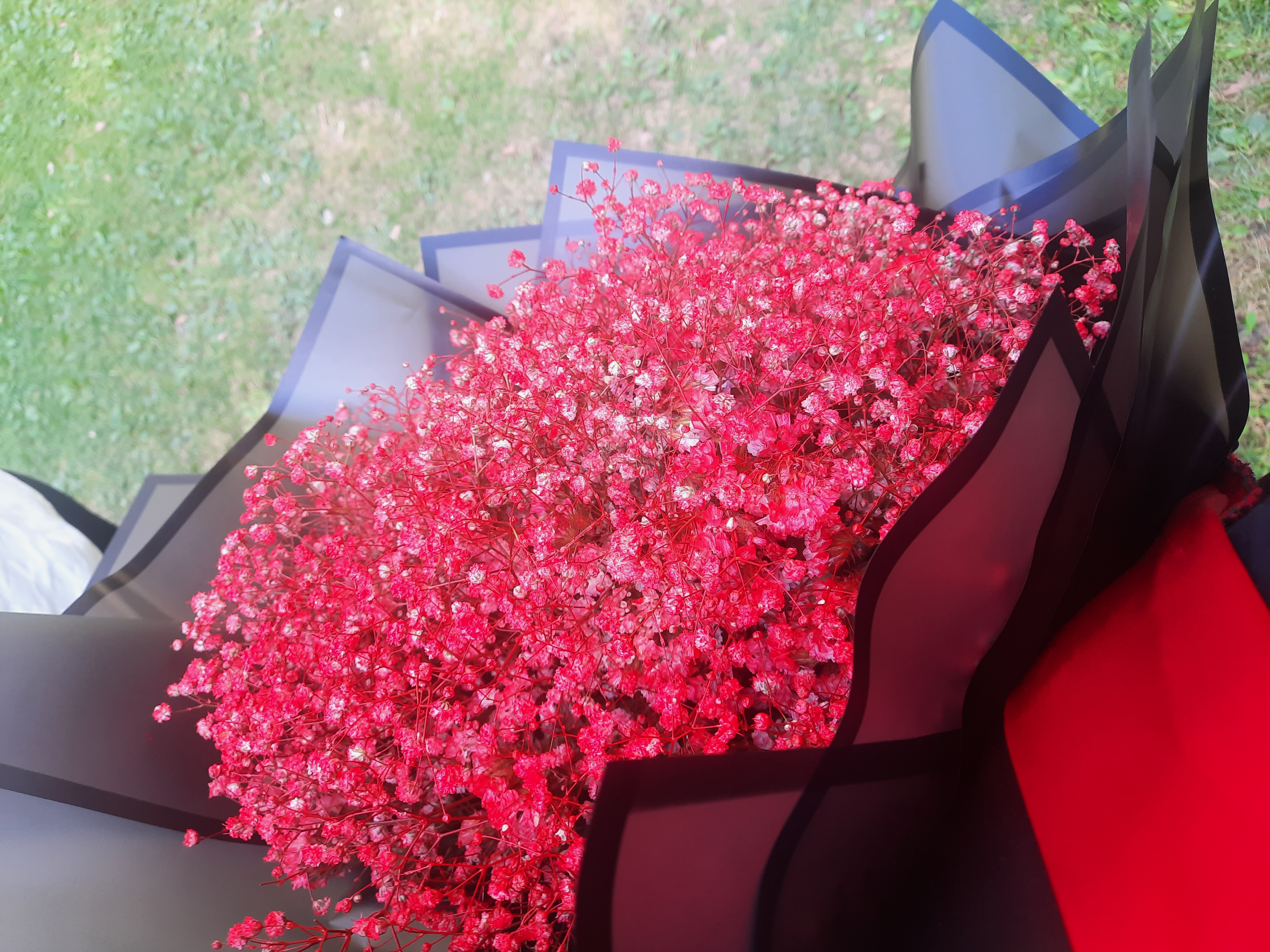 پارک ملت چهارم مهر جشن فارغ التحصیلی