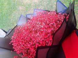 فارغ التحصیل حقوق