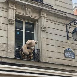 از نامزد رفیق تا هم کلاسی معتاد