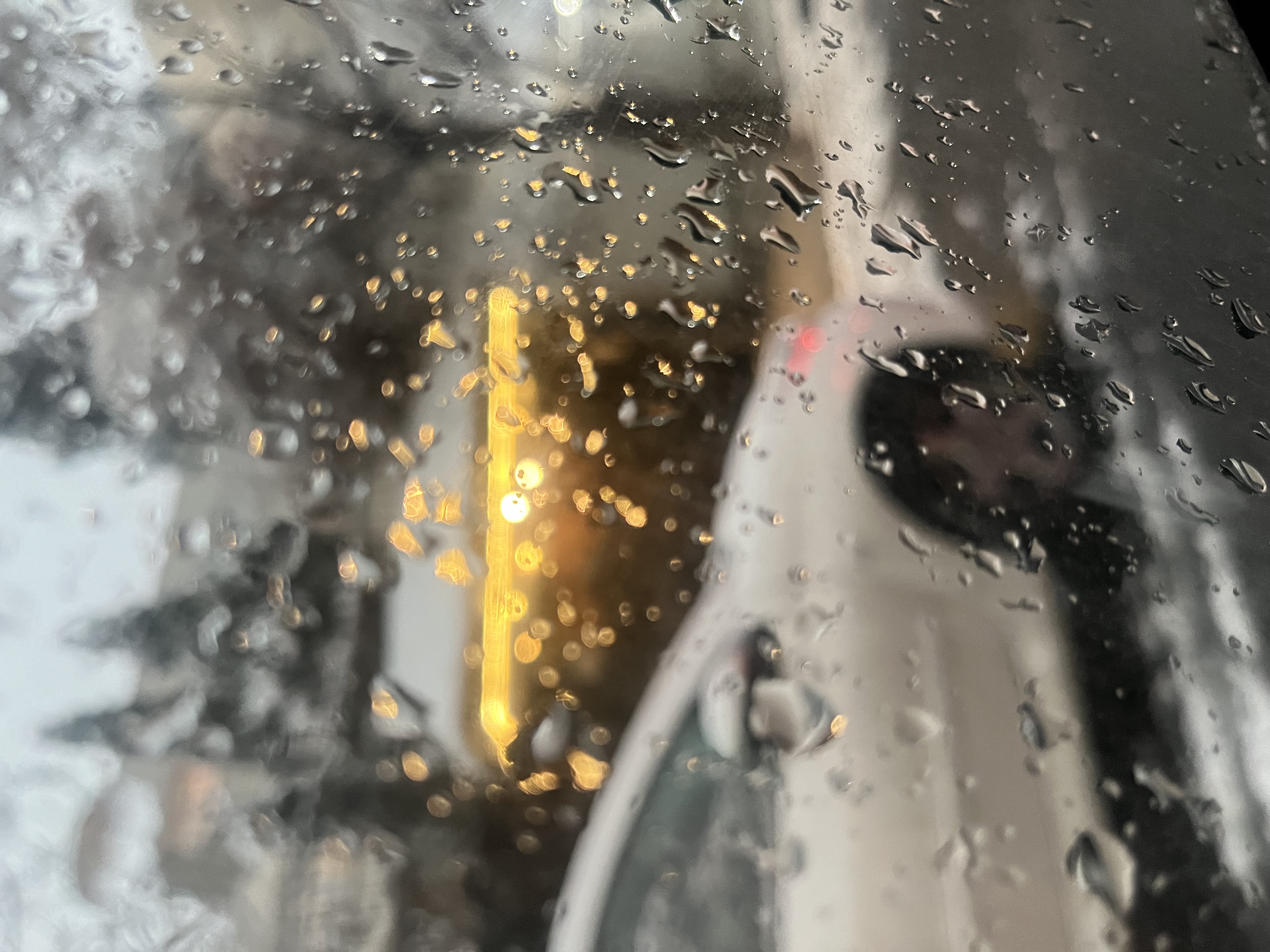 همین الان برف شدید