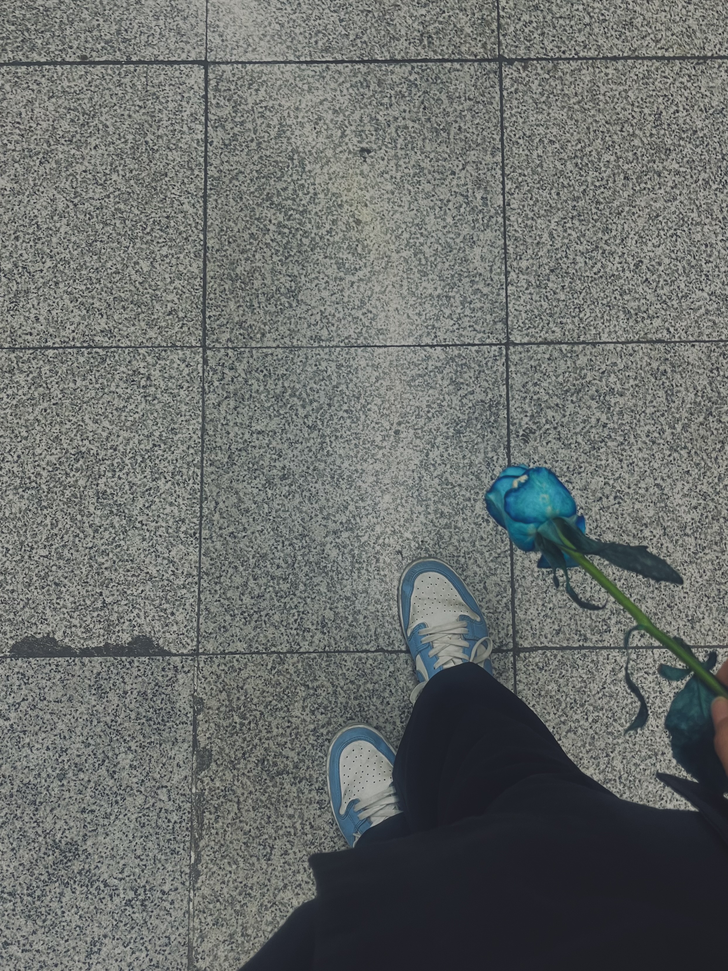 هدیه روز دانشجو که من بخاطر الینا که حالش خوب نبود نرفتم مراسم..وقتی برگشتم مهدیس دوتا گل داشت و یکیش و داد به من..