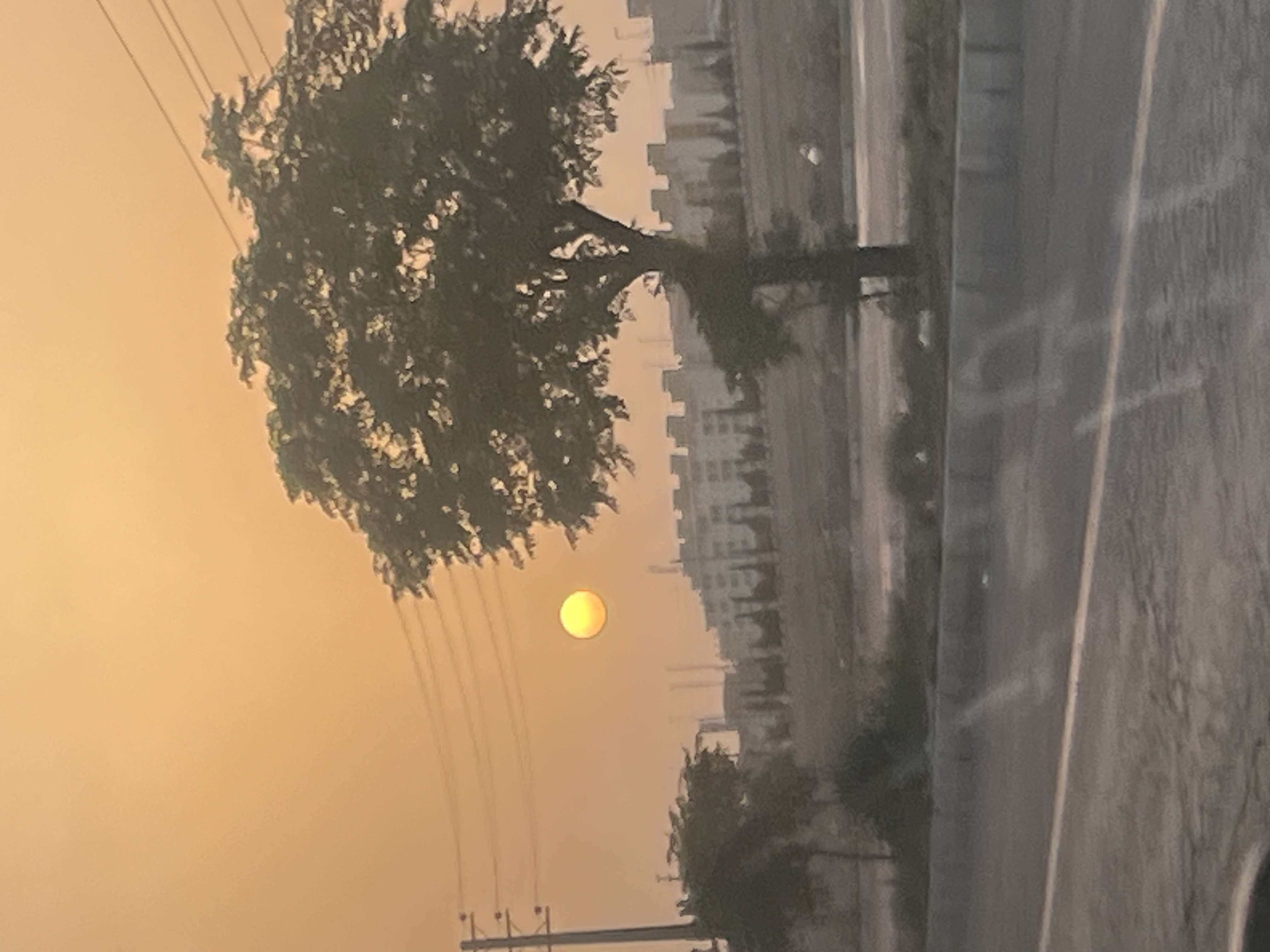 در راه برگشت