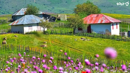 جاهای دیدنی لیسار در بهار