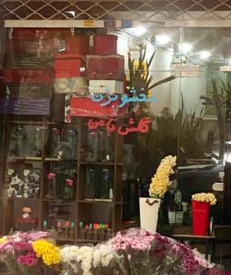 شغل های مورد علاقه