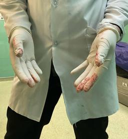 وقتی می‌گوییم: «بلد نیستم»