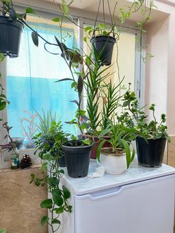 دانشجوی ترم اول پزشکی