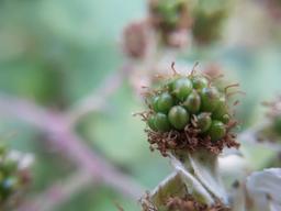 یک روز فراموش نشدنی