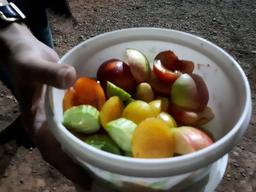 نباید پیش هر کسی اظهار نظر کرد