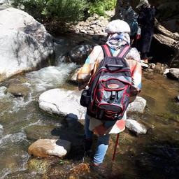 صداهایی که مدیر باید بشنود