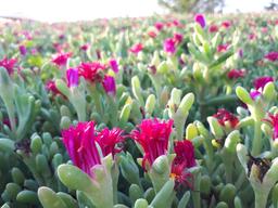 داستان کارمندی که مرزهای کار و زندگی شخصی اش به هم ریخته بود.