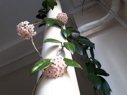 خواب نوشت دوشنبه بیست و دوم خرداد هزارو چهارصدودو