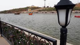 نوزاد نارس ، پرستار ناسپاس