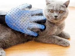 آیا واقعاً موی گربه خطرناک است؟