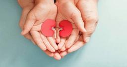 درمان مشکلات کلیه توسط دکتر اورولوژی