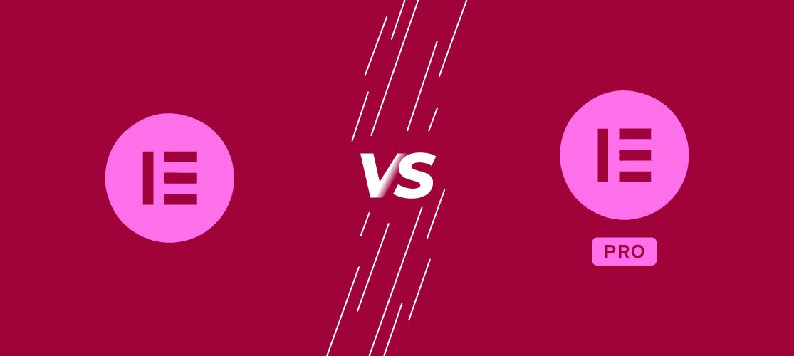 نقش نسخه حرفه ای و افزونه المنتور پرو