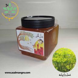 خرید عسل رازیانه طبیعی