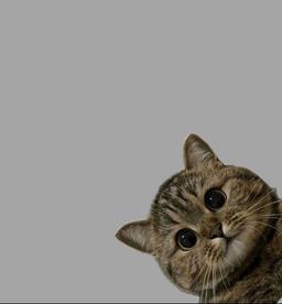 شب‌نوشت یک کنکوری...