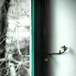 شاه پناهم بده