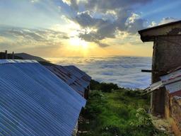 دنیای بامزه