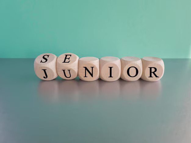 سینیور یا جونیور؟ تفاوتهایی فراتر از عنوان شغلی