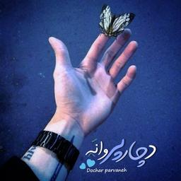 د‌ُچارپروانه‌بود