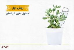آبیاری گیاهان آپارتمانی در مسافرت بدون نیاز به حضور!