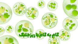 گام به گام با ریزجلبک