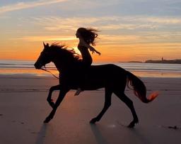 نامه‌ای به همزادم، سوار بر اسب