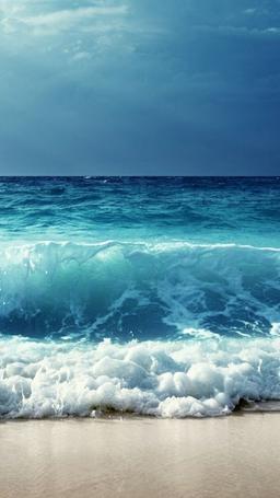 موج( روز سیزدهم)