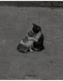 ناگفته هام برای تو ؟ :)