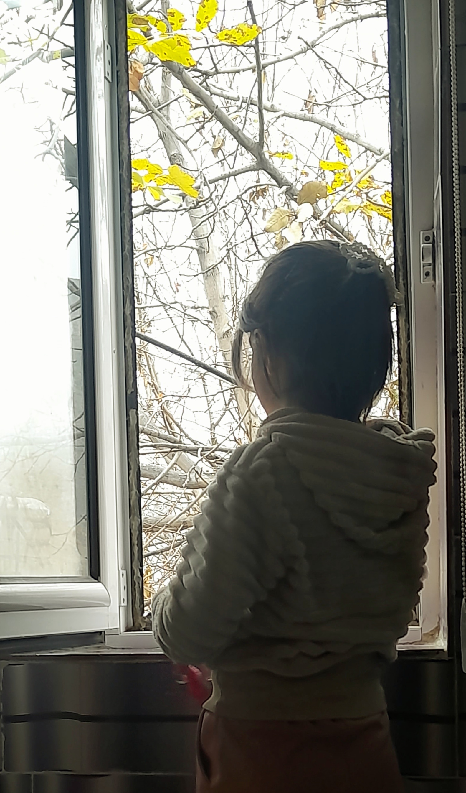 اینانا در حال رصد لحظه های اخر پاییز :