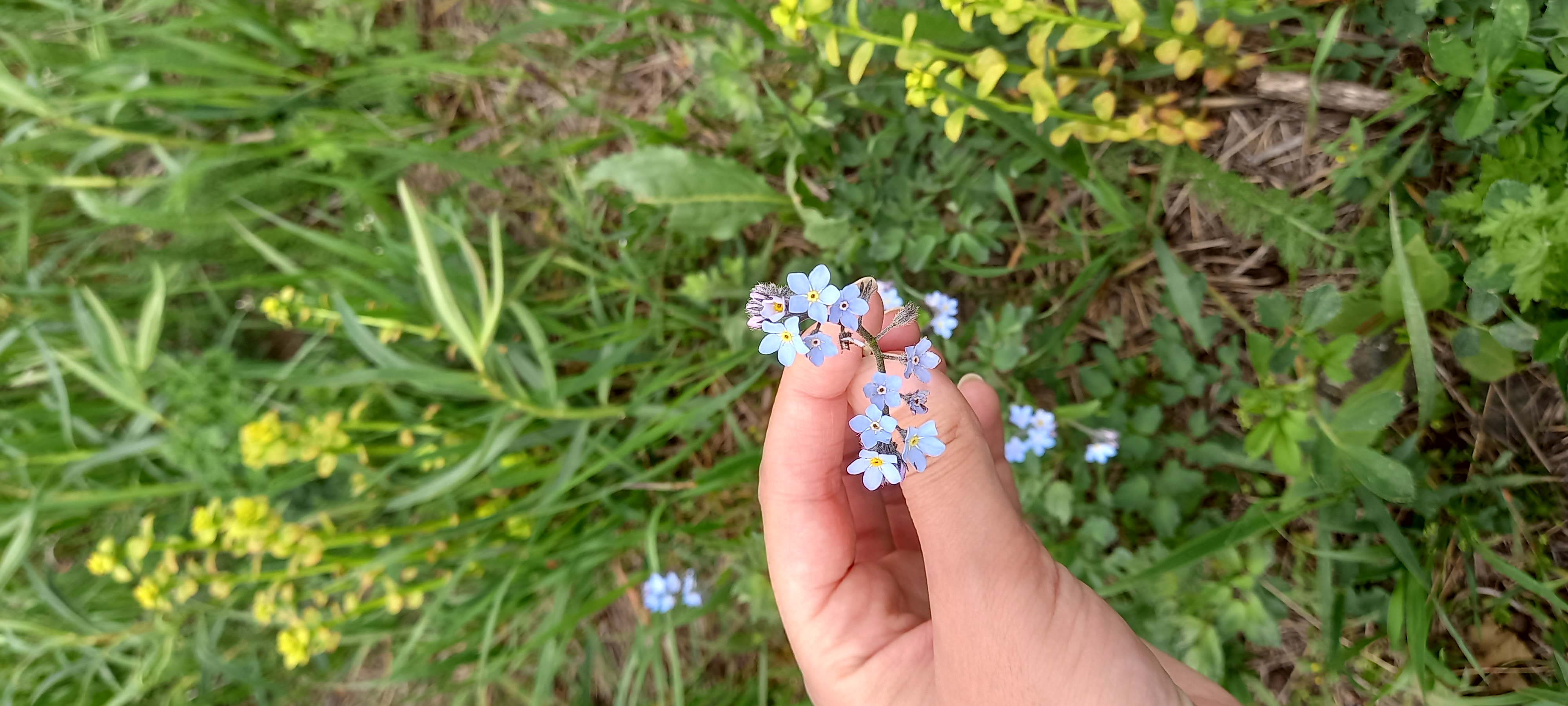 با آرزوی ابی بودن؛)