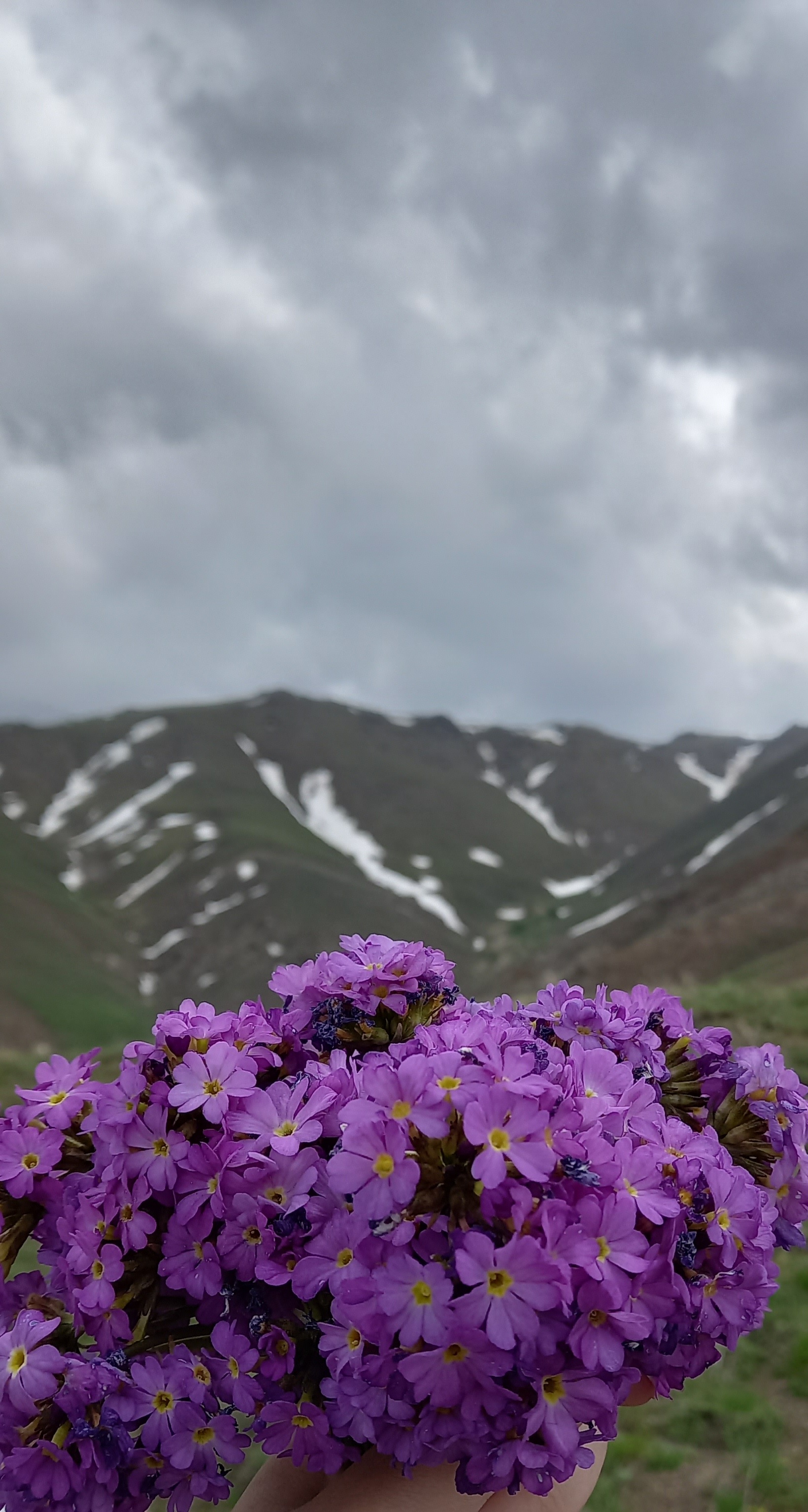 غریبِ روزگارت ..