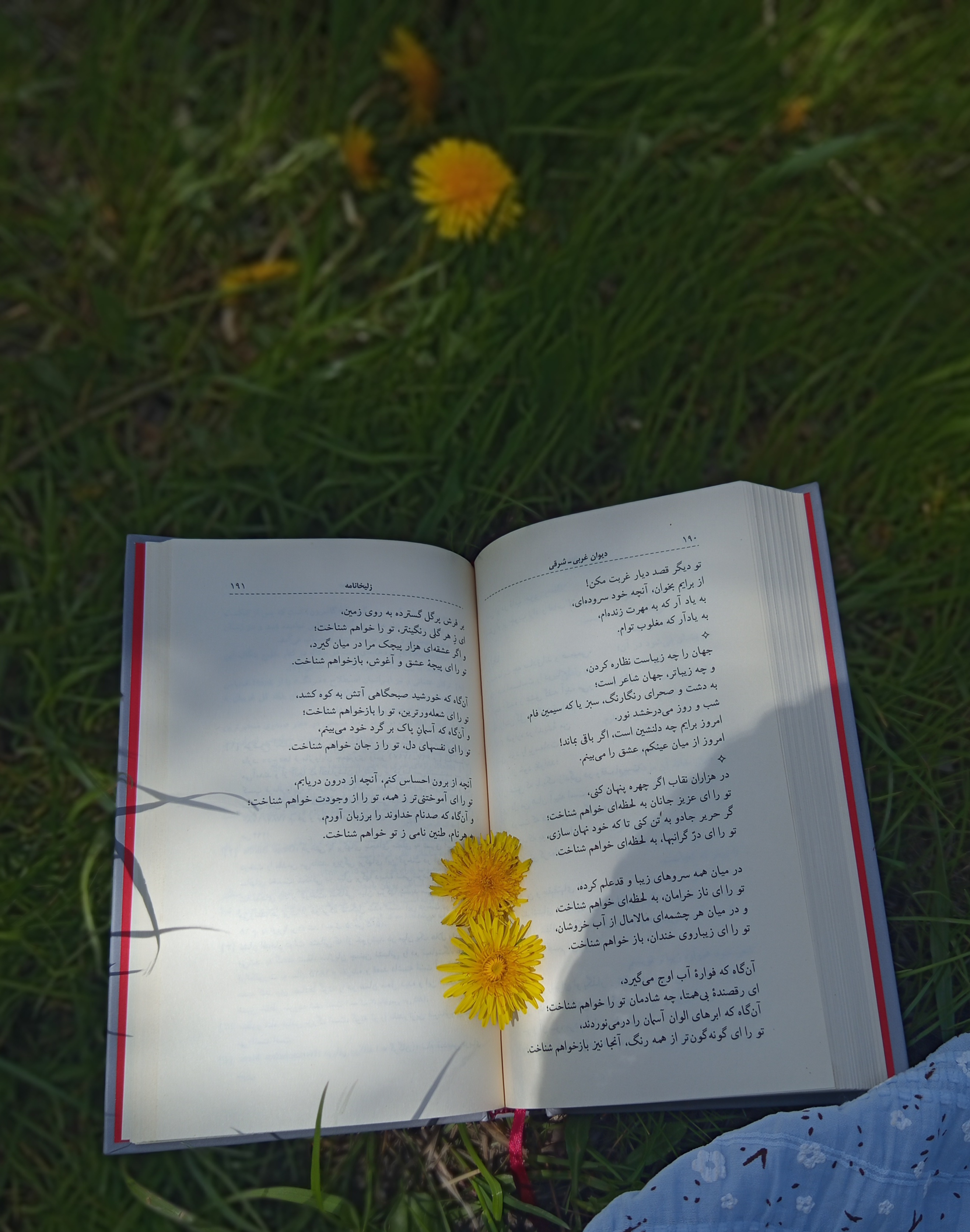 ولی اینجا واقعا یه تیکه از بهشت آرامش بود :)