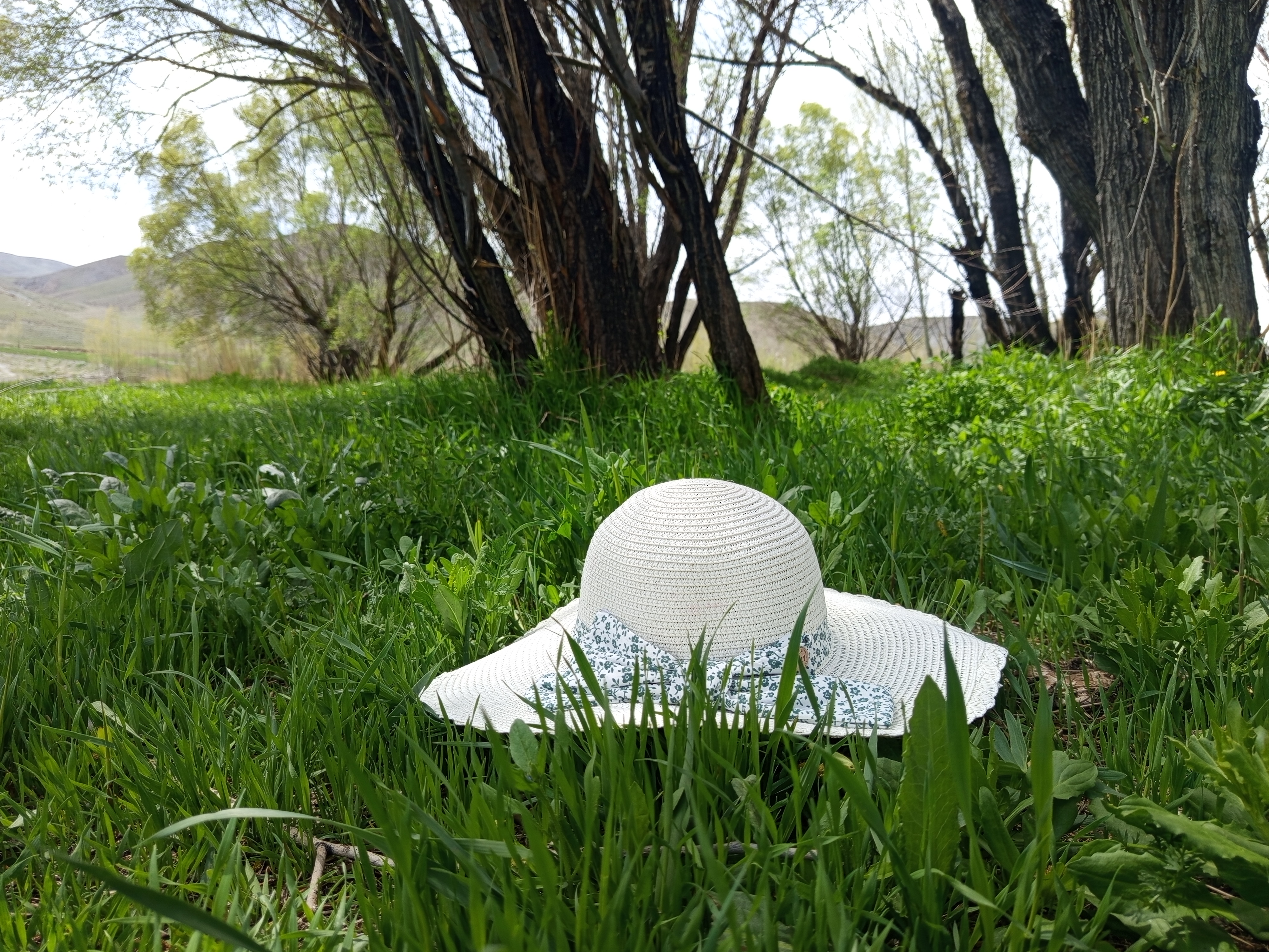 زندگیِ پس از خودکشی²