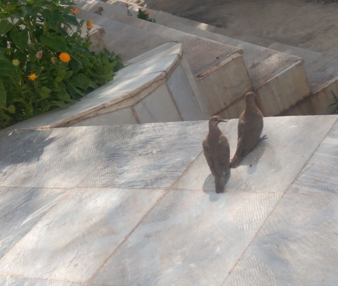 همدم:) همراه:)