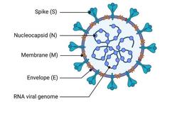بررسی و تحلیل انتشار ویروس کرونا بر اساس شبکه های پیچیده
