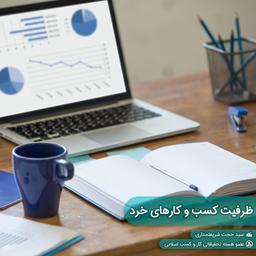 ظرفیت کسب و کارهای خرد