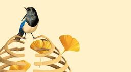 معرفی کتاب اعمال انسانی: کاوشی در احساسات عمیق بشری