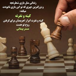 🟥و جایی به شدت پَست و بی رَحم ...آری اسمش دنیاست