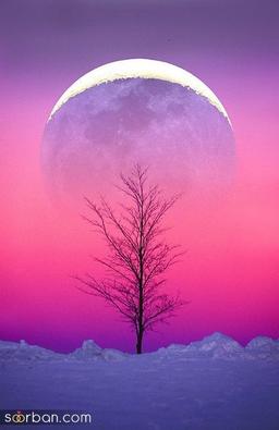 اعتماد و تلقین