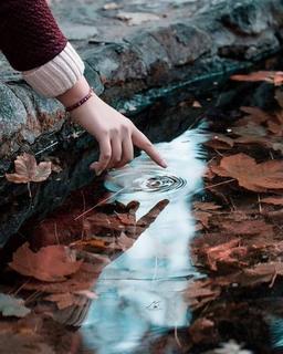 زندگی دوباره