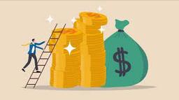 آشنایی با آموزش های دلفین وست