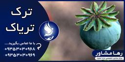 ترک تریاک| نکاتی که حتما قبل از اقدام به ترک باید بدانید!