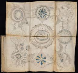 1. Voynich Manuscripts with ChatGPT (GPT-4o)